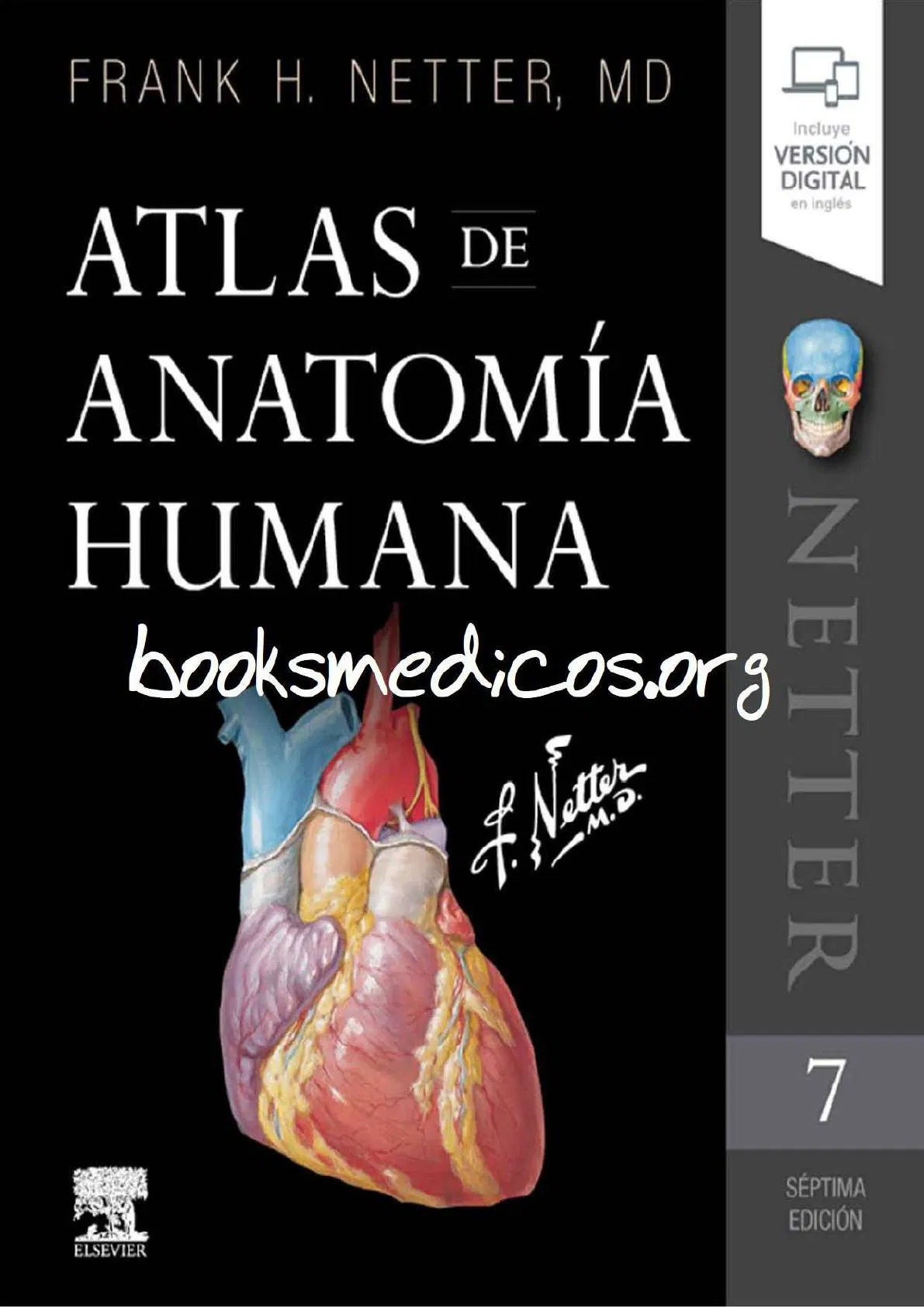NETTER ANATOMÍA HUMANA - EDICIÓN 6