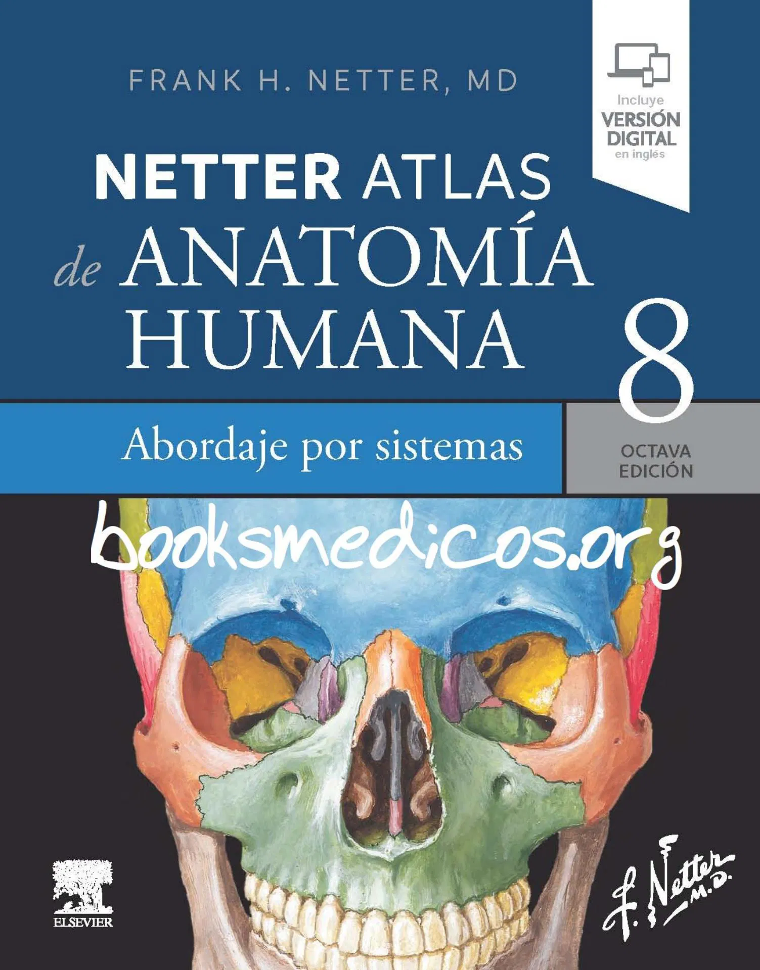 NETTER ANATOMÍA - EDICIÓN 8
